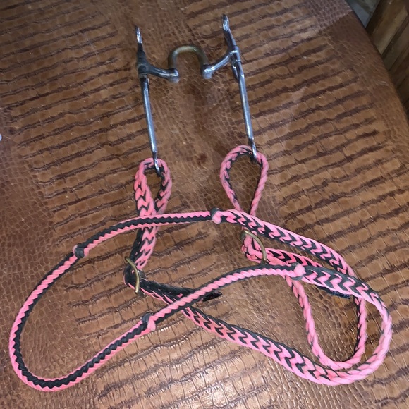 Other - High Port Bit With Black & Pink Roping Reins